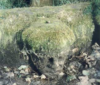 Stone head